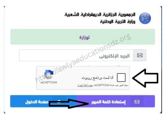 فضاء الأولياء
